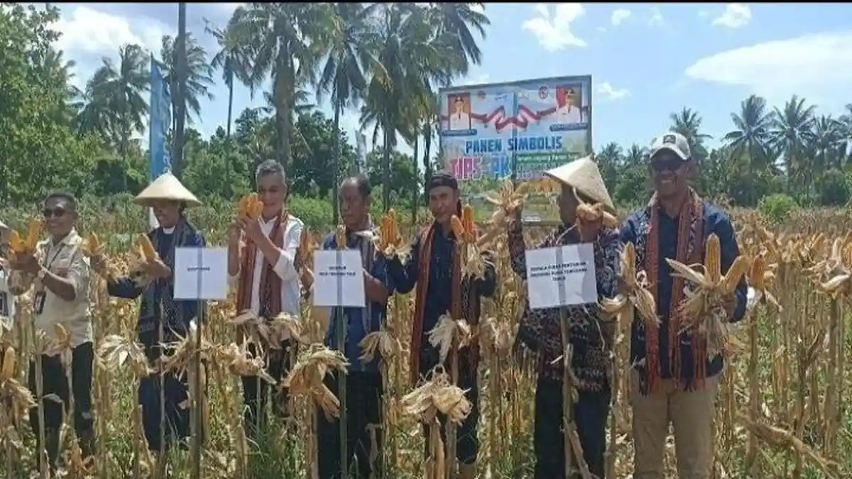 Dinas Pertanian Sikka Dukung Program TJPS Meski Harga Beli Rendah  