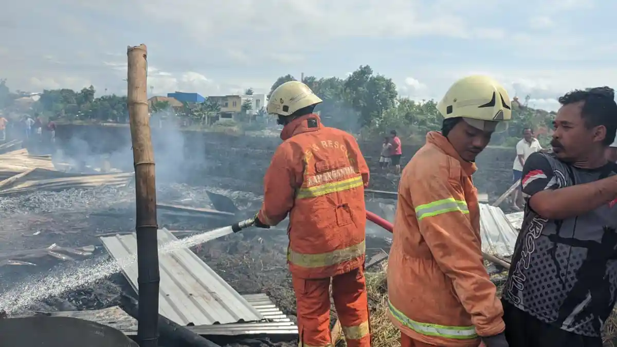Kandang di Colomadu Karanganyar Terbakar, 22 Ekor Kambing Mati Terpanggang