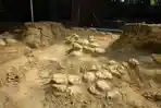 Heboh Penemuan Telur Dinosaurus Berusia 72 Juta Tahun, Benarkah Milik Titanosaurus dan Ankylosaurus?