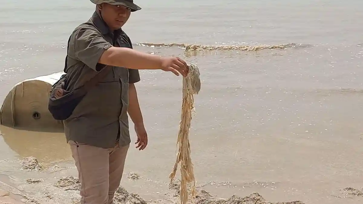 Pantai Pongkar Tercemar Limbah, Nelayan Jaring Mengeluh Hasil Tangkapan Terganggu