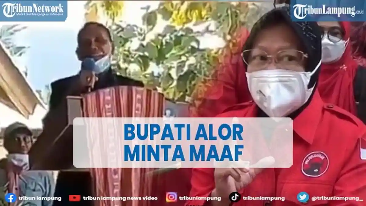 Bupati Alor Minta Maaf Setelah Videonya Marah ke Staf Kemensos Sempat Viral