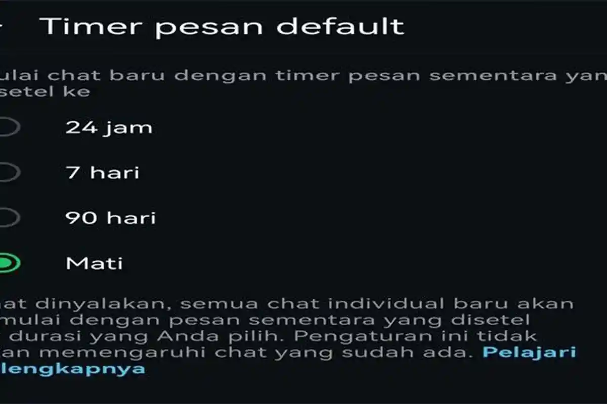 Fungsi Timer WA dan Cara Aktifkan Fitur hingga Non Aktifkan Fitur Timer
