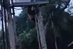 Pemuda Tersangkut di Gardu Listrik Pinang Merah, Diduga Hendak Curi Kabel