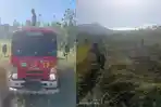 Hutan Lindung Terbakar di Aceh Besar, 1 Hektare Padang Ilalang Ludes Dilalap Api, Pemadaman 21 Menit