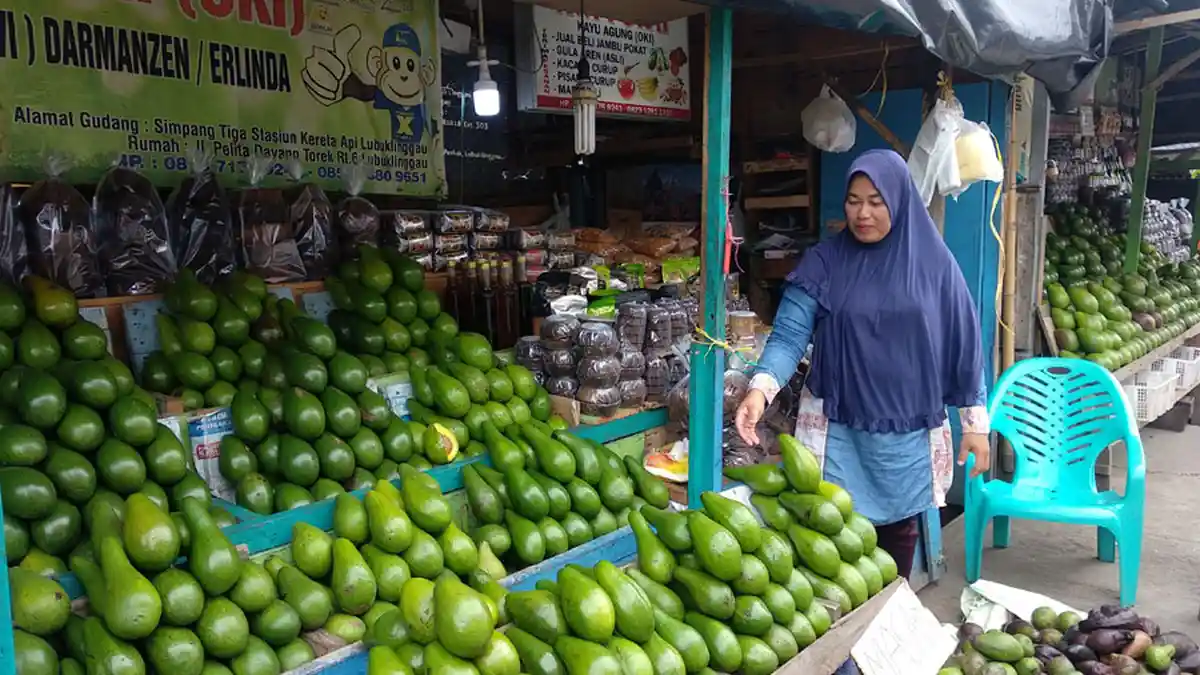 Kisah Erlinda 15 Tahun Jual Alpukat Lubuklinggau, Sampai Mampu Bangun Rumah