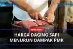 harga-daging-sapi-anjlok.jpg