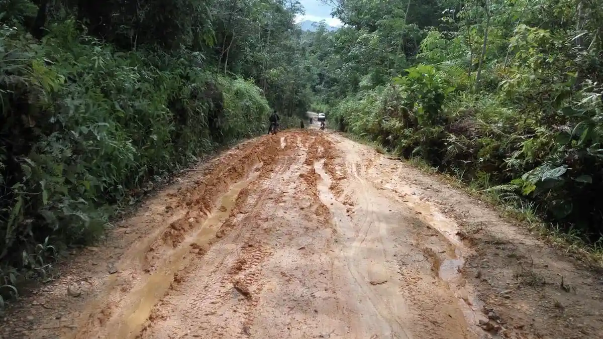 Desa Landau Apin hanya Terdiri Dari 4 RW