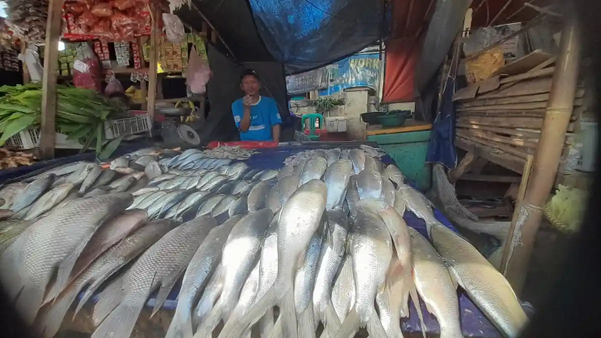 Daftar Harga dan Lokasi Jual Ikan Bandeng di Banten, Laris Manis Jelang Imlek