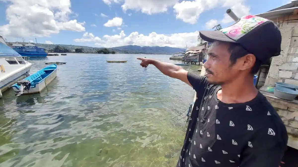 400 Ekor Ikan Mati Mendadak di Teluk Ambon, Tipawael Merugi Jutaan Rupiah