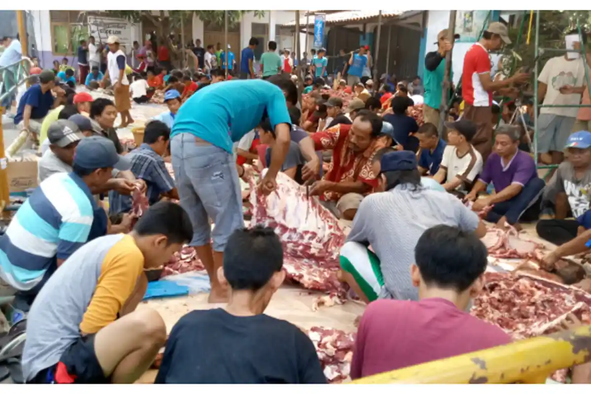 Iduladha, Kulit Hewan Kurban Boleh Dijual? Rasulullah Muhammad Beri Peringatan Keras Soal Sembelihan