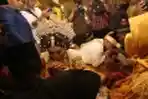 Akad Nikah dan Resepsi Pendangdut Evi Masamba