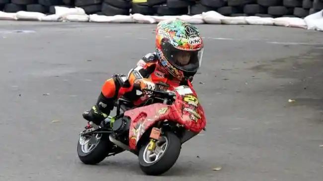 Tribun