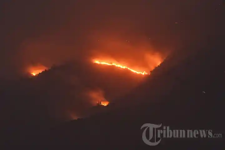 Kebakaran Gunung Arjuno Meluas Hingga Kabupaten Malang, Foto 1 #2043751