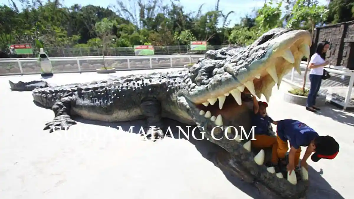 Demi Manjakan Wisatawan, Predator Fun Park Impor Buaya Putih