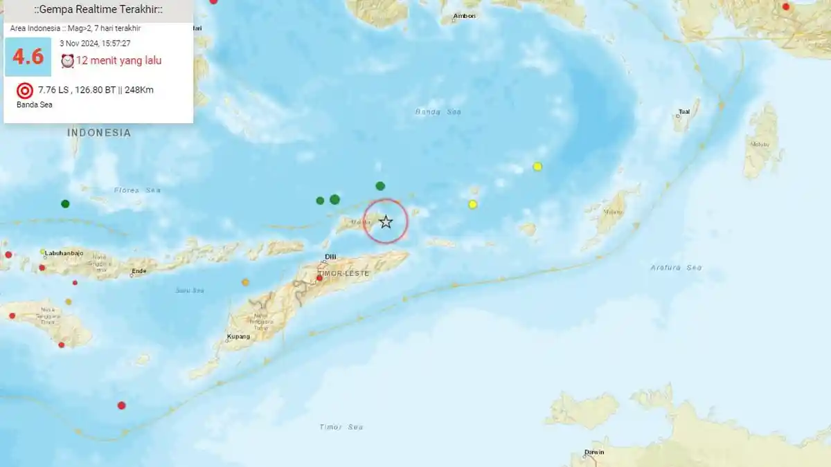 Gempa Bumi Magnitudo 4.6 Guncang Wilayah Indonesia: Berikut Rincian Lokasi dan Dampaknya