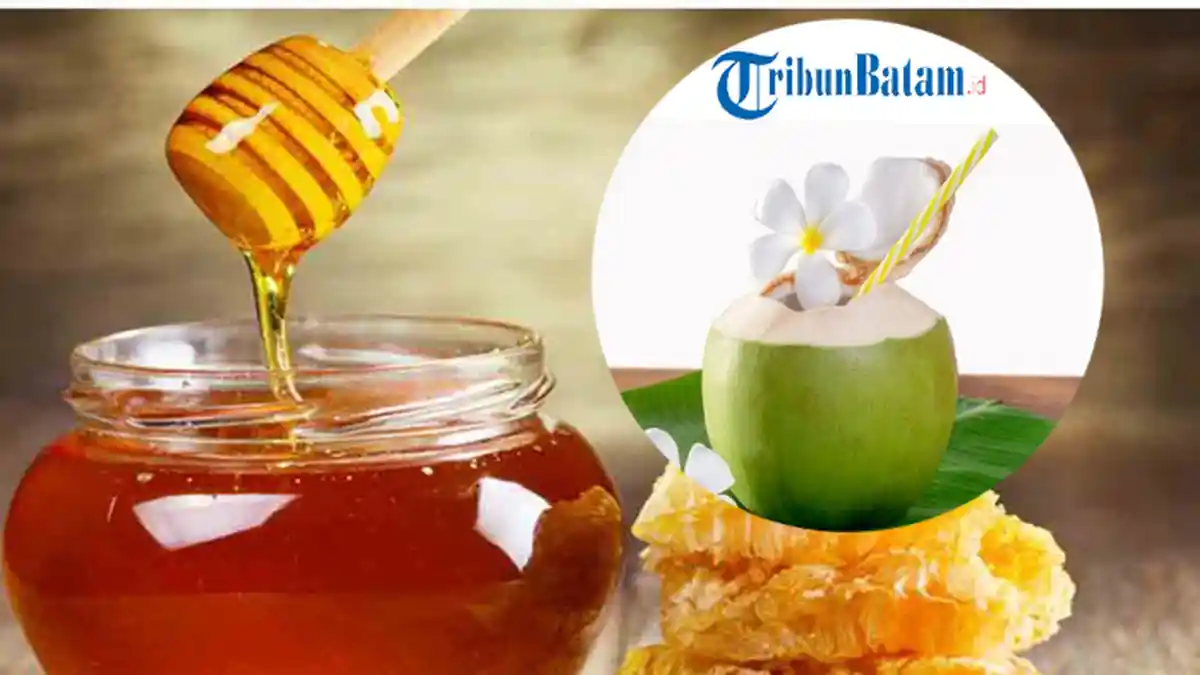 Manfaat Air Kelapa Campur Madu untuk Kesehatan Bisa Cegah Penuaan Dini