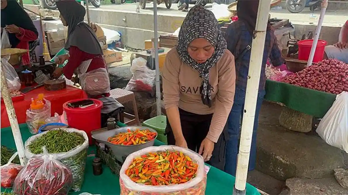 Harga Cabai Caplak di Metro Lampung Tembus Rp 80 Ribu, Pedagang: Stok Sedikit