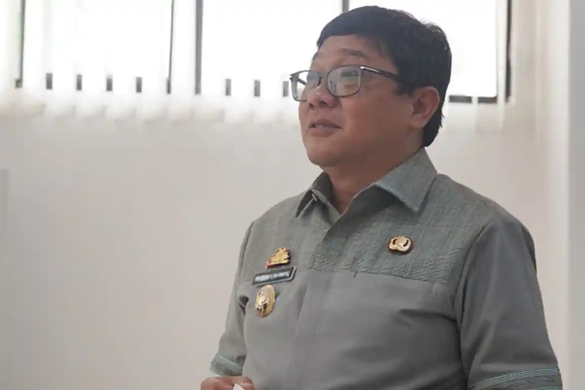 Wakil Bupati Toraja Utara Akui Belum Bentuk Tim Penanganan ASF