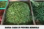 Jelang-Ramadan-Harga-Cabai-di-Bengkulu-Merosot-Cek-Harga-Cabai-Terbaru-di-Sini.jpg