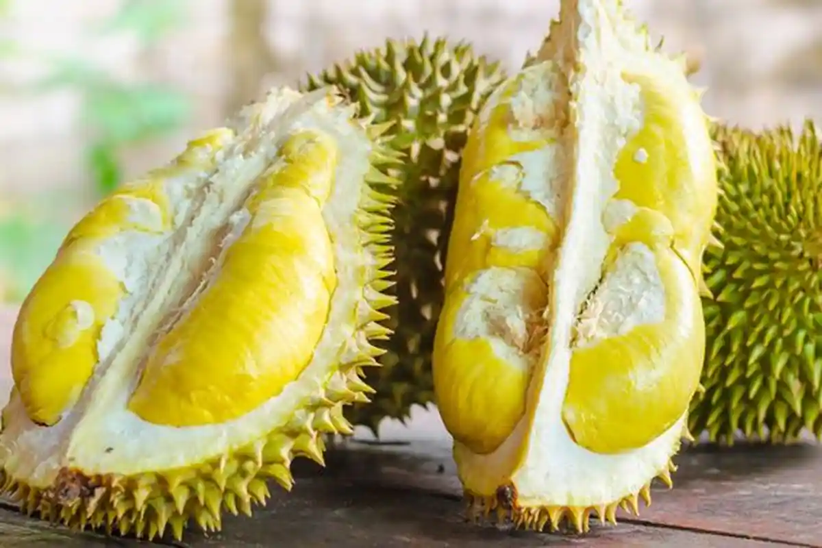 Hindari Makan Durian Bersamaan dengan Makanan dan Minuman Ini, Bisa Berbahaya bagi Kesehatan