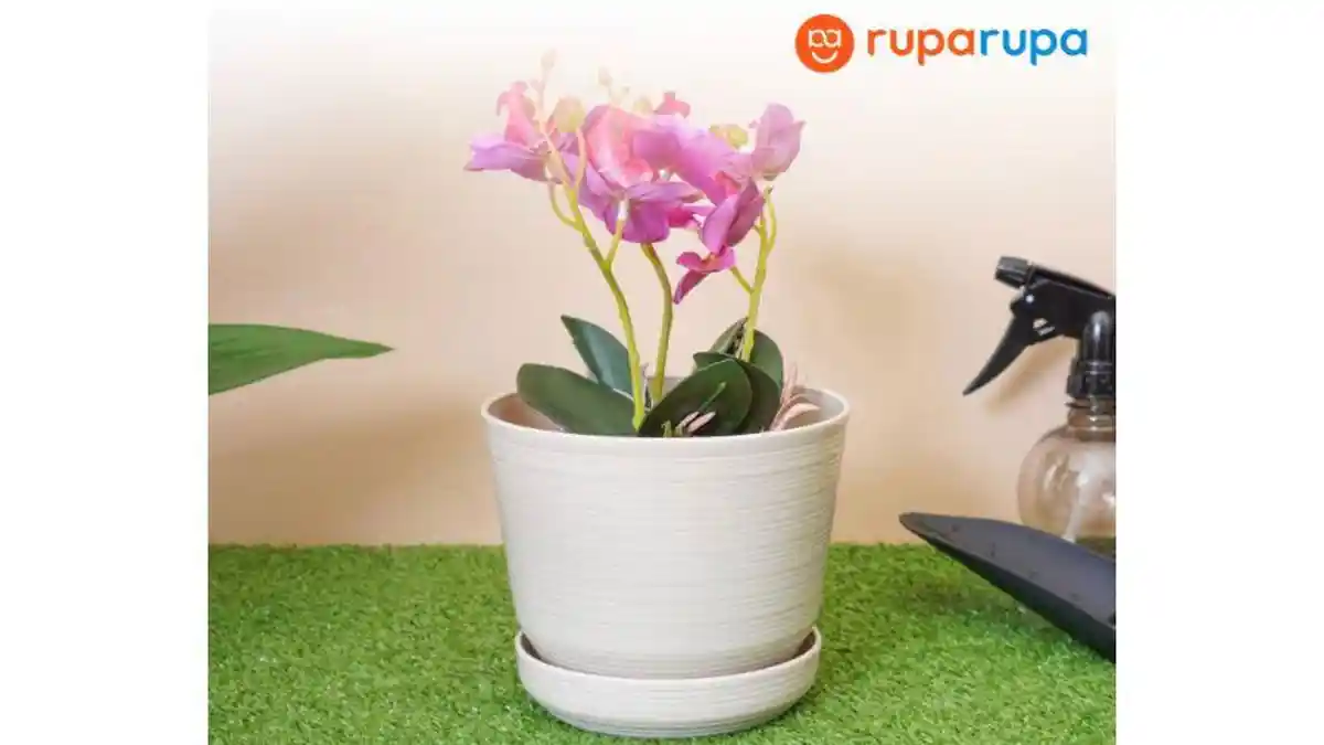 5 Tips Memilih Pot yang Tepat untuk Tanaman Artifisial