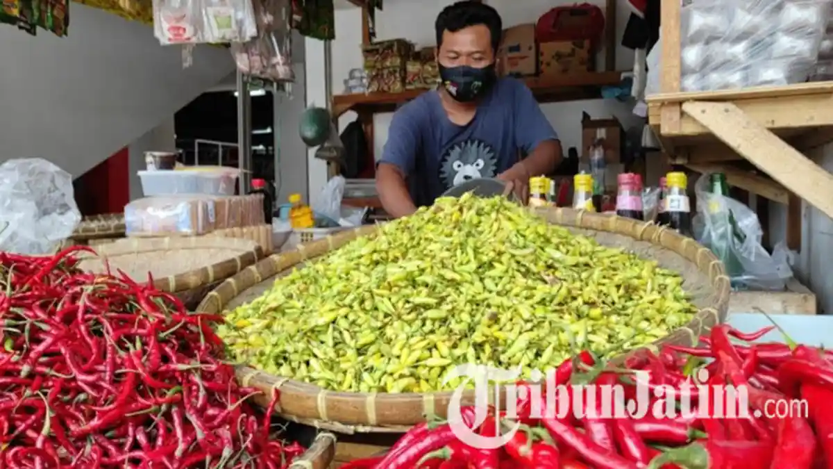 Makin 'Pedas,' Harga Cabai Rawit di Kota Blitar Naik hingga Rp 70 Ribu/Kilogram