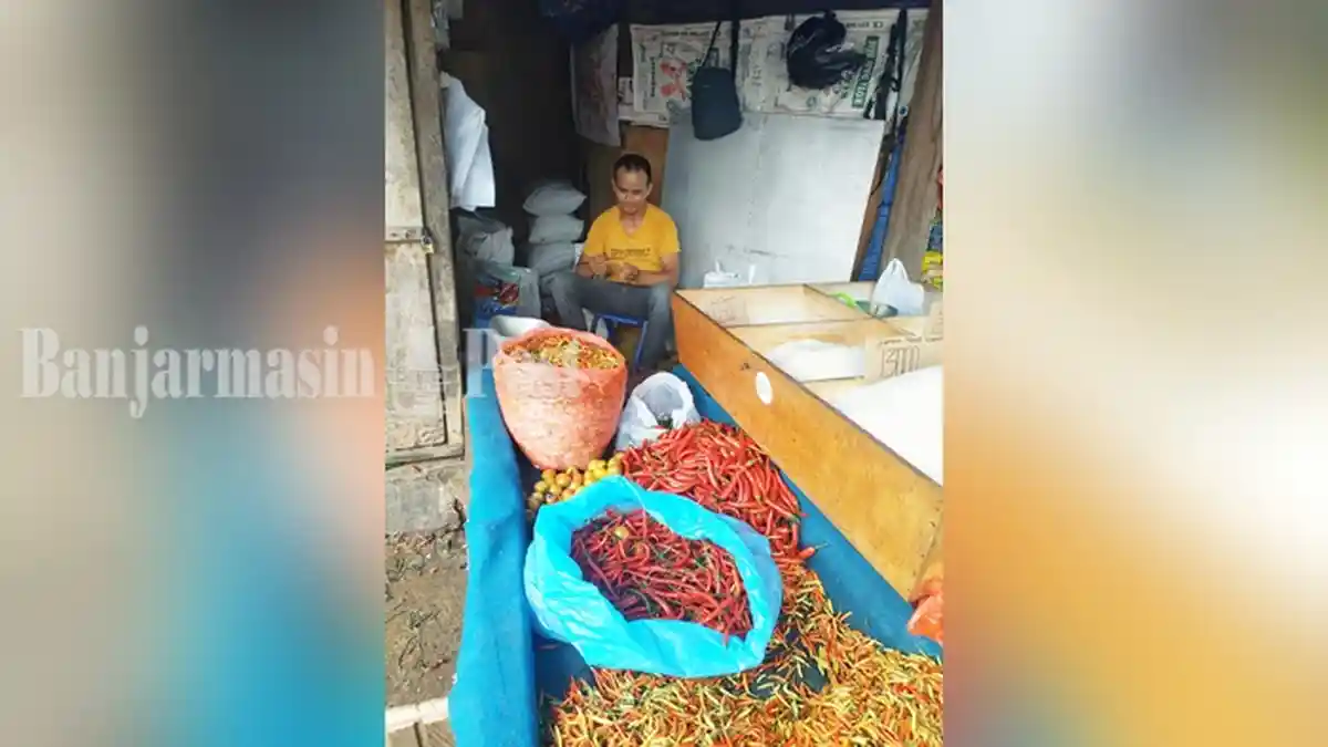 Harga Cabai Mulai Turun, Begini Ulasan Kepala Dinas Perdagangan Kalsel