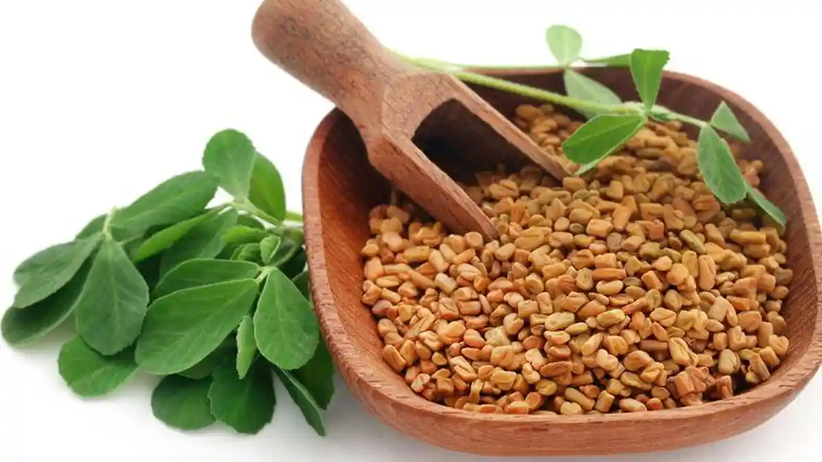 Tanaman Herbal Fenugreek Ternyata Bisa Jadi ASI Booster