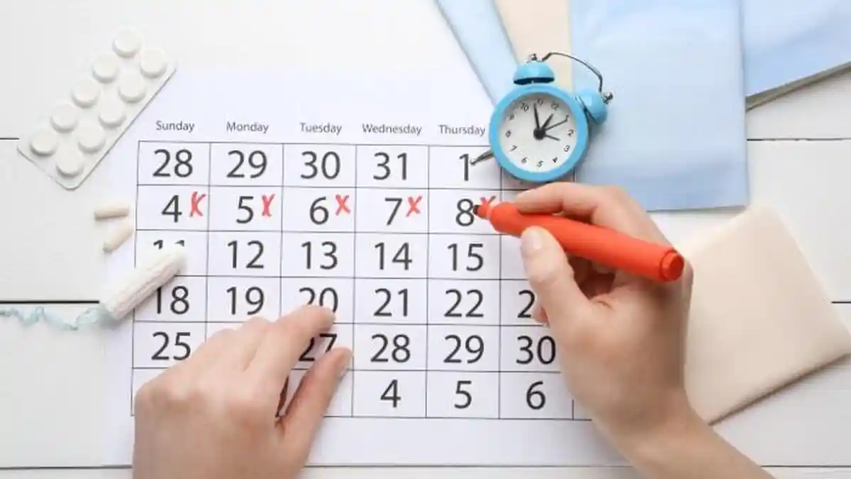 6 Rekomendasi Aplikasi Kalender Menstruasi dan Menghitung Masa Subur