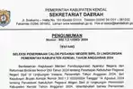 Link-Dowload-PDF-Rincian-659-Formasi-CPNS-2024-Pemkab-Kendal-sscasnbkngoid.jpg