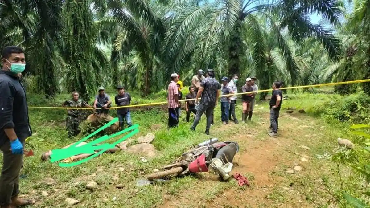 Sesosok Mayat Pria Ditemukan di Perkebunan PT Satya Agung Aceh Utara, Ini Dugaan Penyebab Meninggal