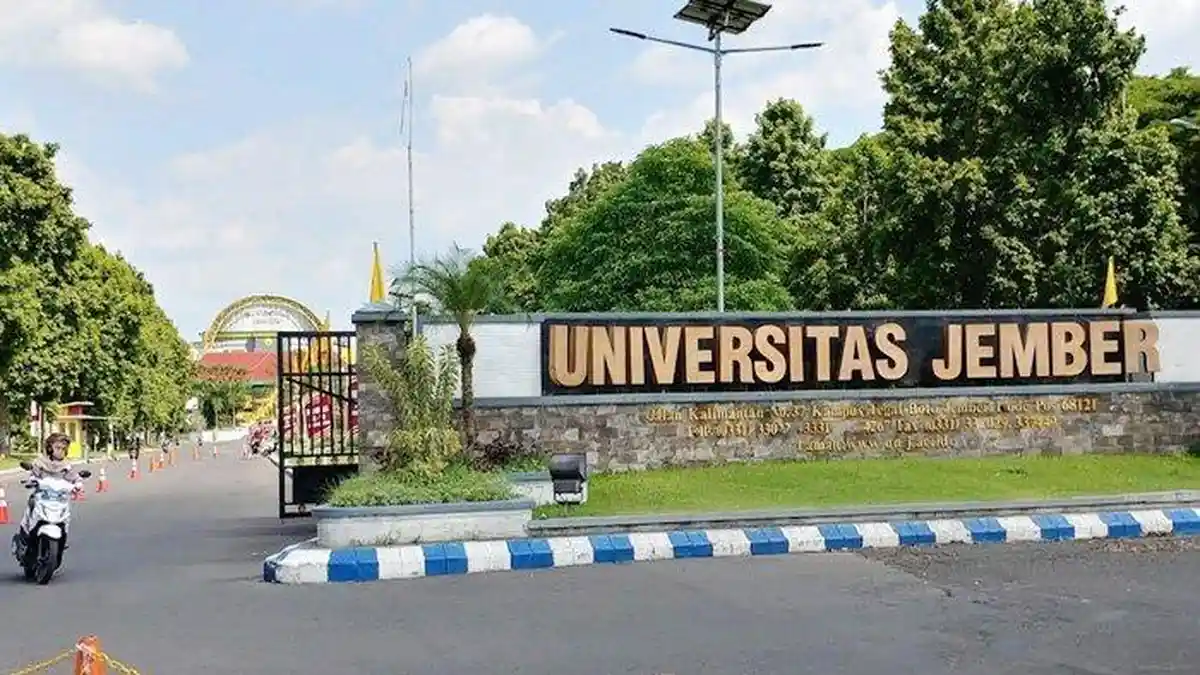 Contoh Soal SNBT 2023 Materi Penalaran Matematika, Cocok Untuk yang Mau Masuk Universitas Jember