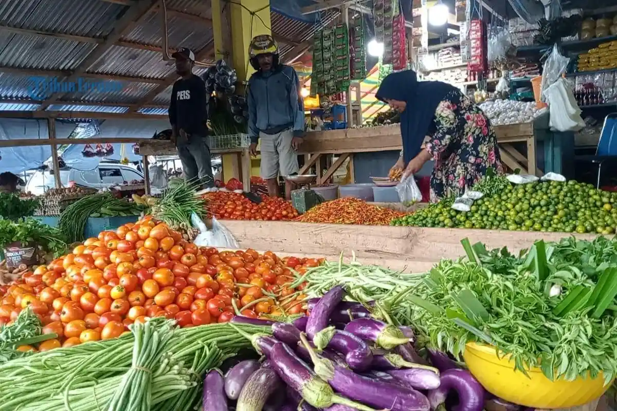 Jelang Ramadhan 2023, Cabai Keriting dan Nona di Morotai Melambung, Tomat dan Sayur Mayur Stabil