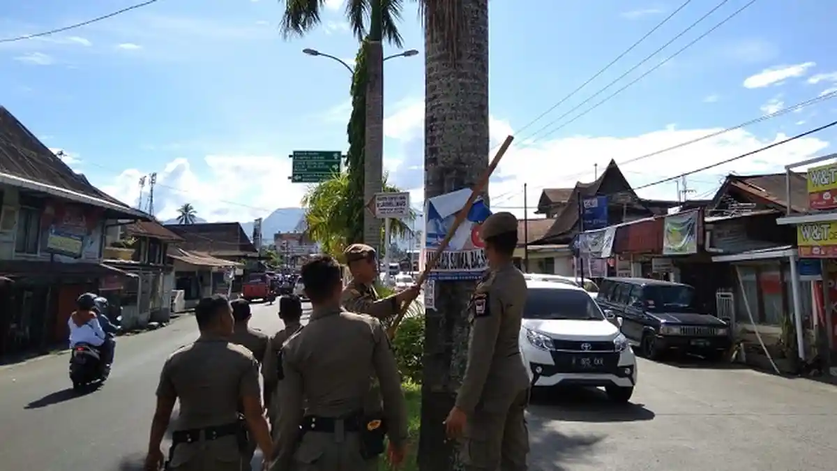 Ratusan Foto Caleg di Pohon Diturunkan, Kasatpol PP Padang: Berlomba Siapa yang Paling Tinggi