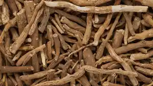 ashwagandha.jpg