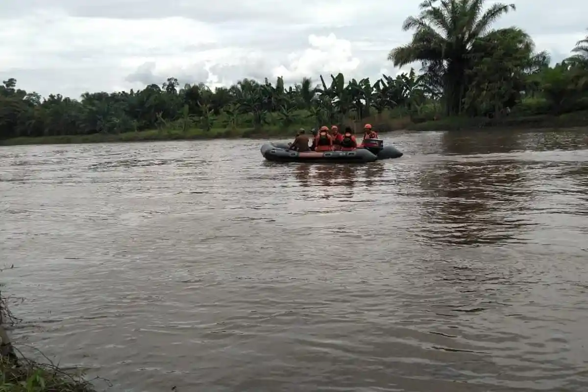 IRT Diterkam Buaya di Mateng, Basarnas Mamuju Bakal Menyelam Cari Korban di Sungai Barakkang