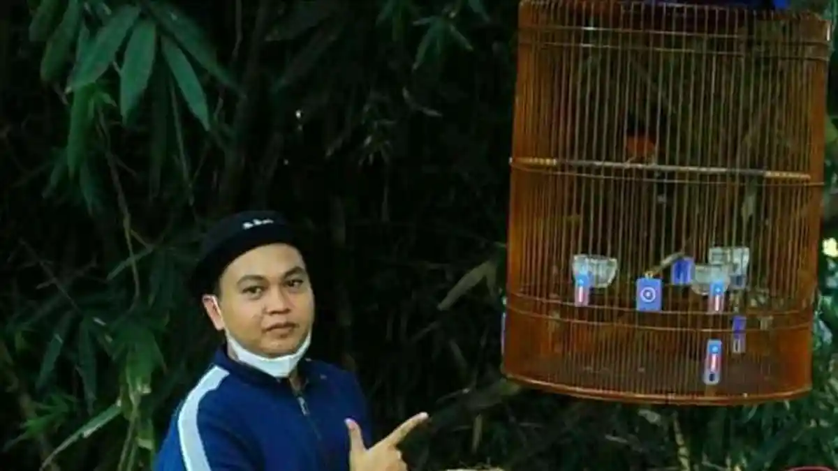 Profil Sekretaris DPD Perindo Metro Nozi Iqbal Zaputra, Hobi Kicau Burung