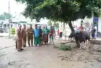 Ketua-TP-PKK-Provinsi-Jambi-Hj-Hesnidar-Haris-SE-menyerahkan-bantuan-hewan-kurban.jpg