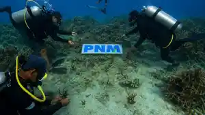 PNM-Pasang-terumbu-karang.jpg