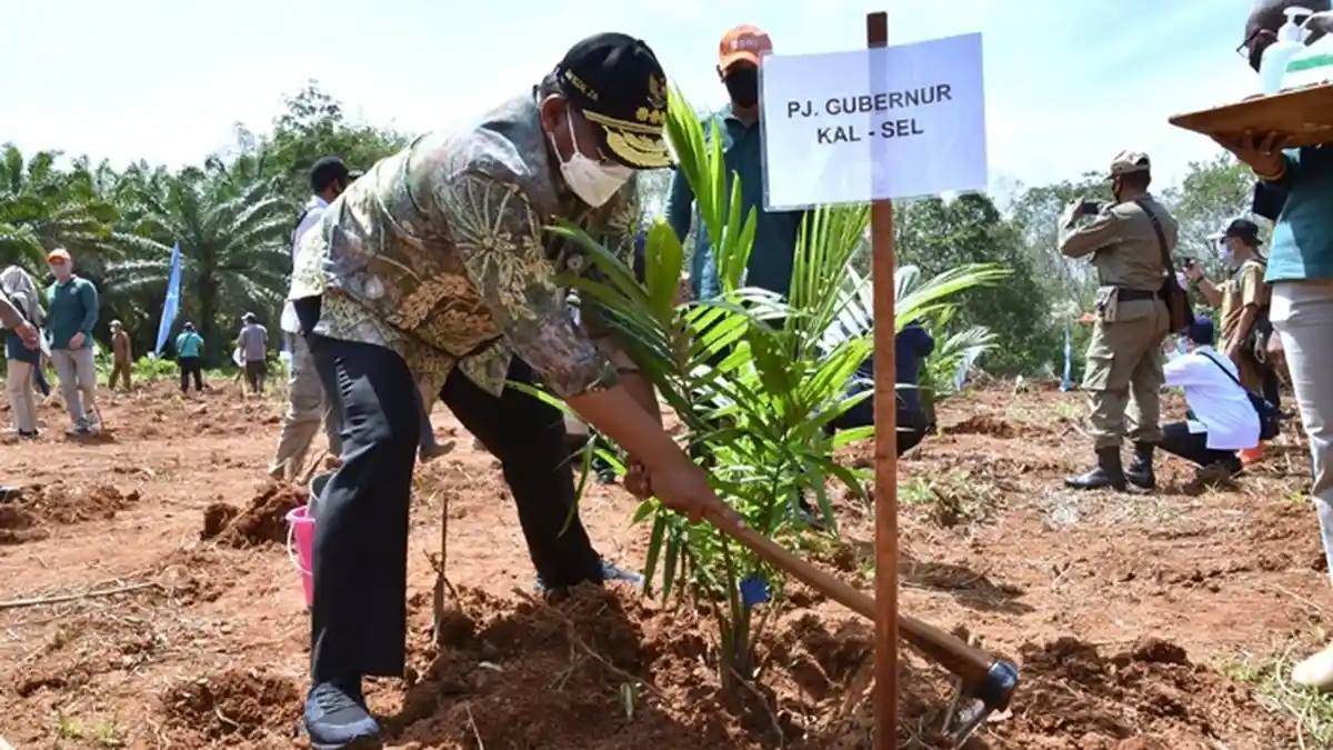 Pemprov Kalsel Cari Solusi Perusahaan Sawit Terlanjur Masuk Kawasan Hutan