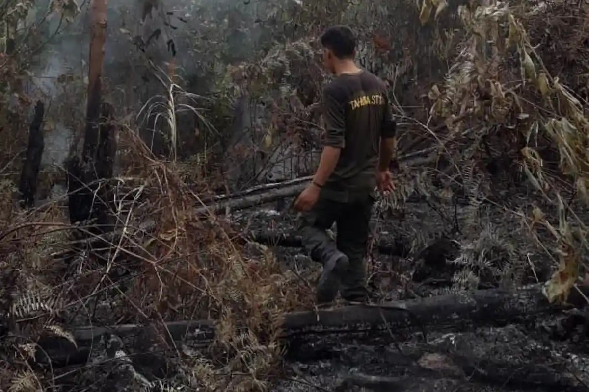 Kebakaran Lahan di Pasar Baru Batanghari Terus Meluas, Petugas Masih Berjibaku Padamkan Api