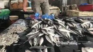 lapak-pedagang-ikan-di-Pasar-Raya-Padang-11112025.jpg