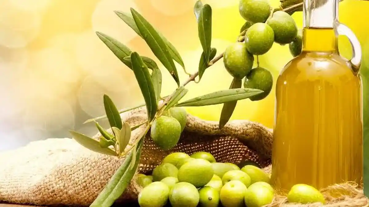 7 Manfaat Buah Zaitun untuk Kesehatan, Dapat Menjaga Kesehatan Kulit dan Tulang