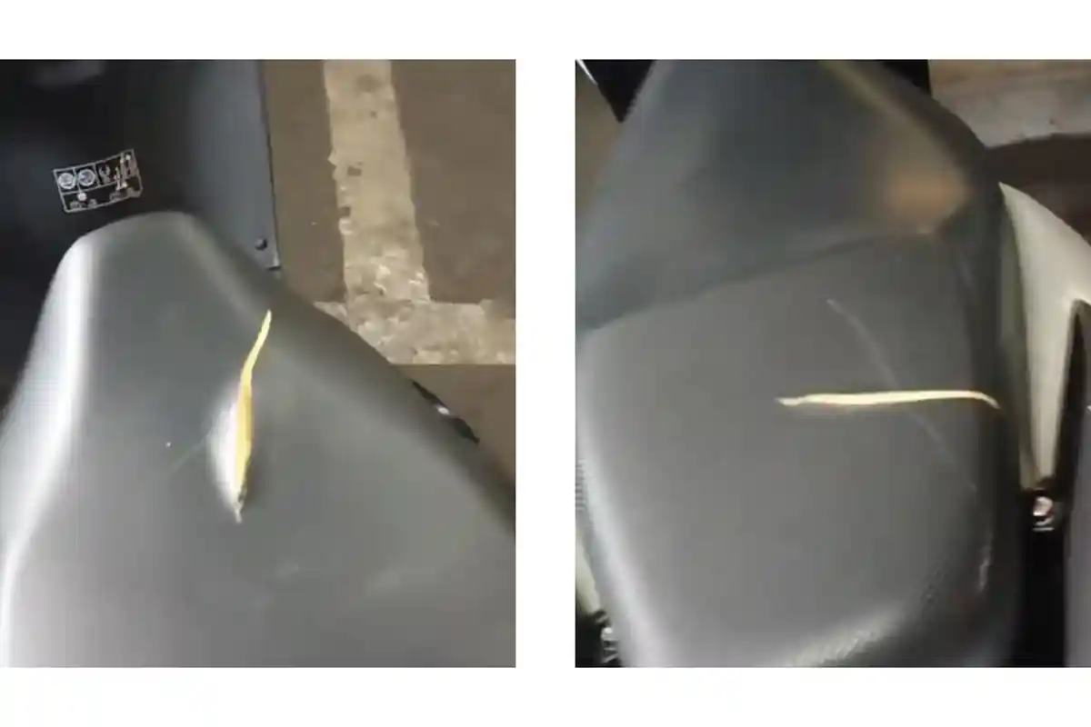 Hal Ini Diduga Jadi Penyebab OTK Sayat Belasan Jok Motor Mahasiswa Universitas Pamulang