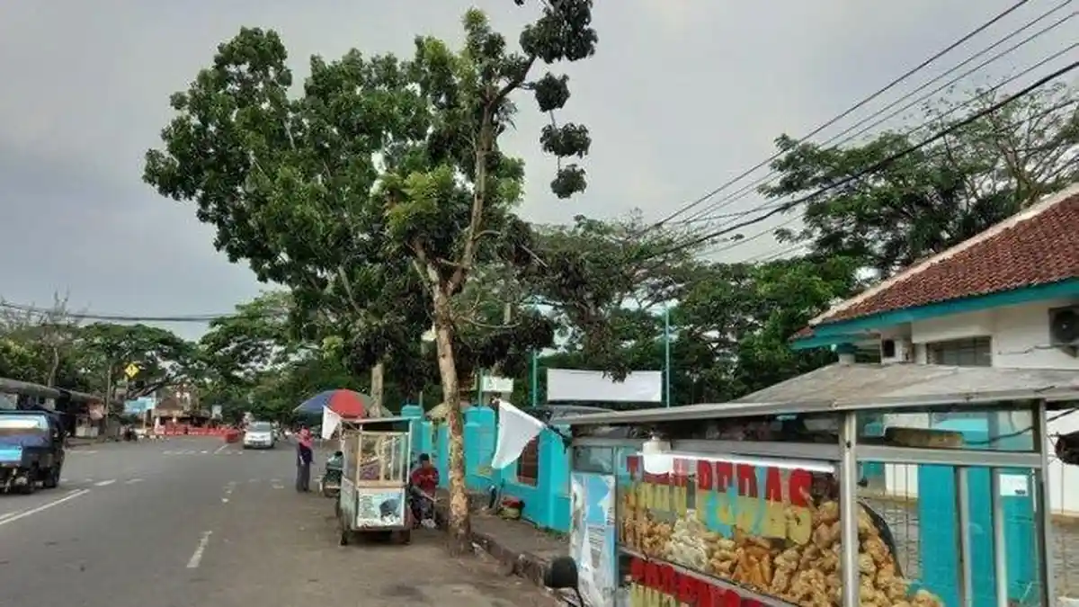 Wakil Ketua MPR Tanggapi Aksi Pengibaran Bendera Putih Saat PPKM: Menambah Derita Rakyat