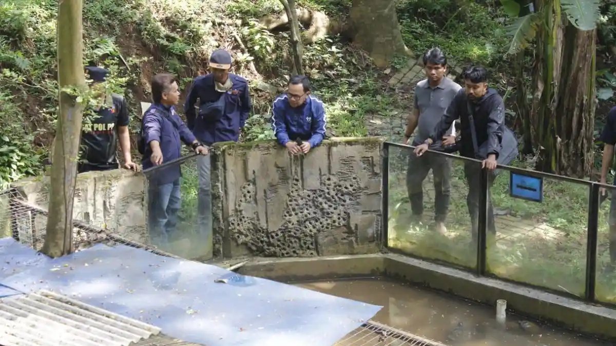 Kandang Monyet Bogor Mini Zoo Kosong saat Disidak, BKSDA Jawa Barat Curiga Pengelola Main Curang