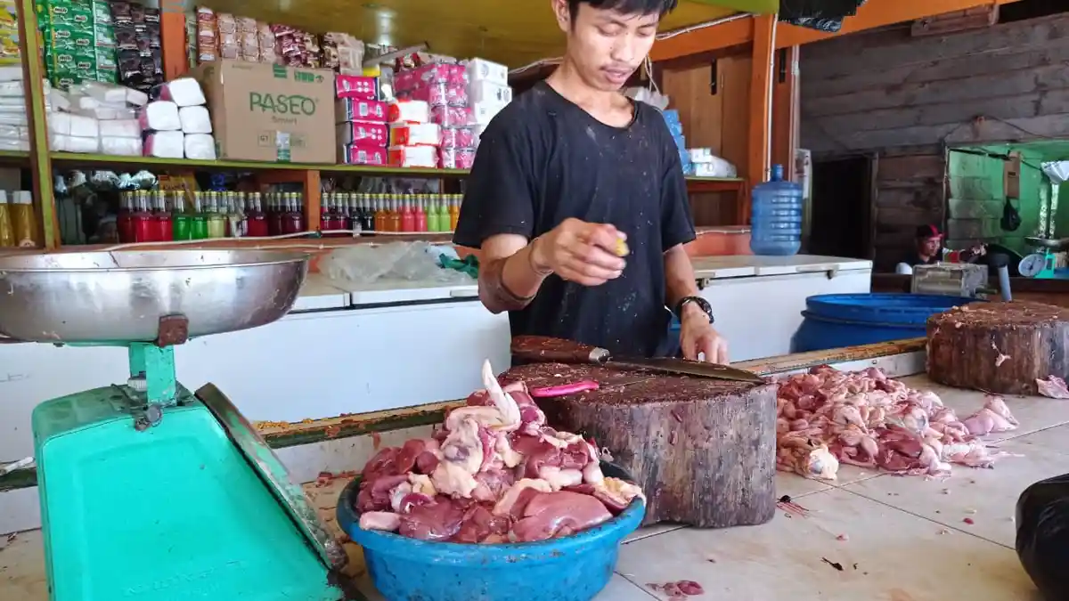Harga Daging Ayam Naik, Dinas Perdagangan Nunukan Sebut Dampak Pembatasan Produksi Bibit Unggas