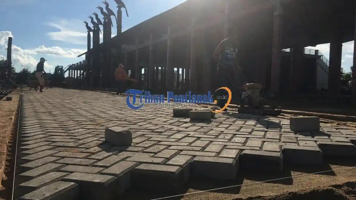 Cara Menghilangkan Lumut di Paving Block, 5 Bahan Ini Sangat Ampuh