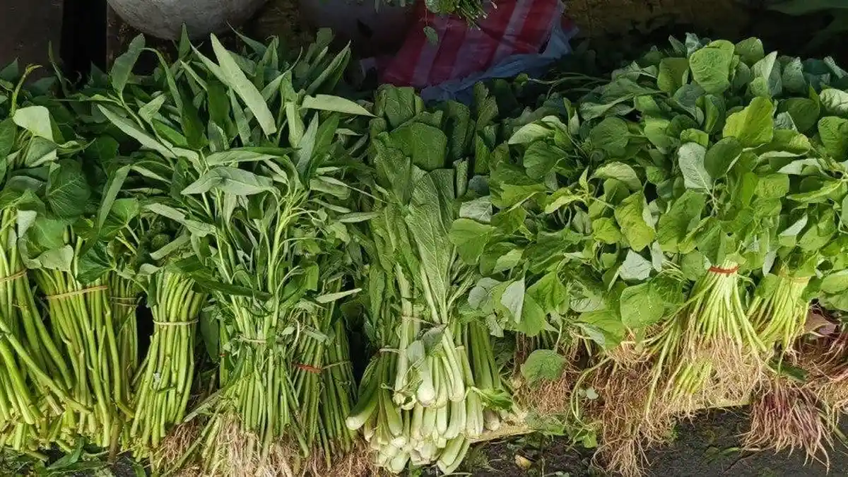 Harga Sayur di Pasar Namlea Maluku Masih Stabil Meski Cuaca Buruk