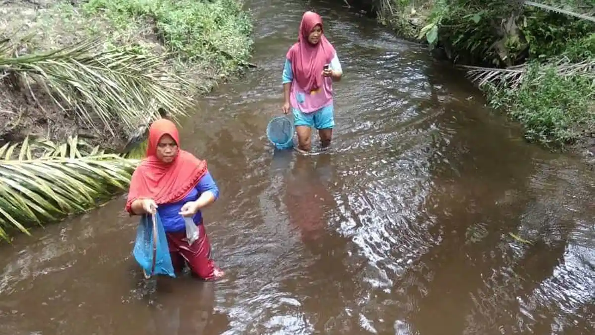 Warga Bawa Pulang Ikan Mati yang Diduga Akibat Keracunan, Gubernur Perintahkan DLH Periksa